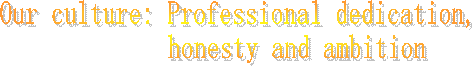 Our culture: Professional dedication,
honesty and ambition